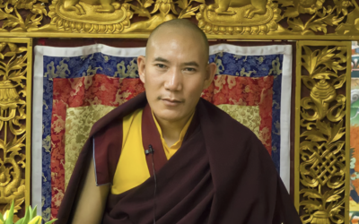 Wisdom | “You Must Believe in Your Potential” by Chamtrul Rinpoche